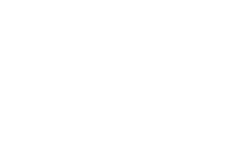fike logo